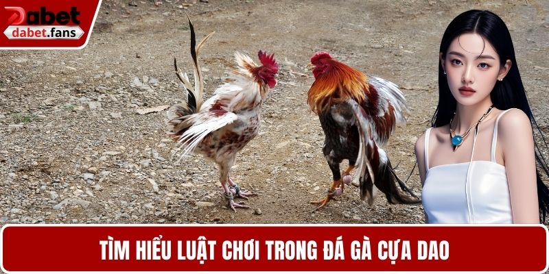 Tìm hiểu luật chơi trong đá gà cựa dao